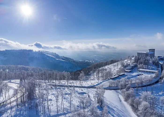 瑞里博格酒店 4* 苏尔